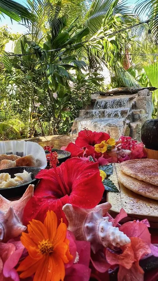 Dónde Hospedarse en el Caribe: 6 Hoteles Céntricos Recomendados